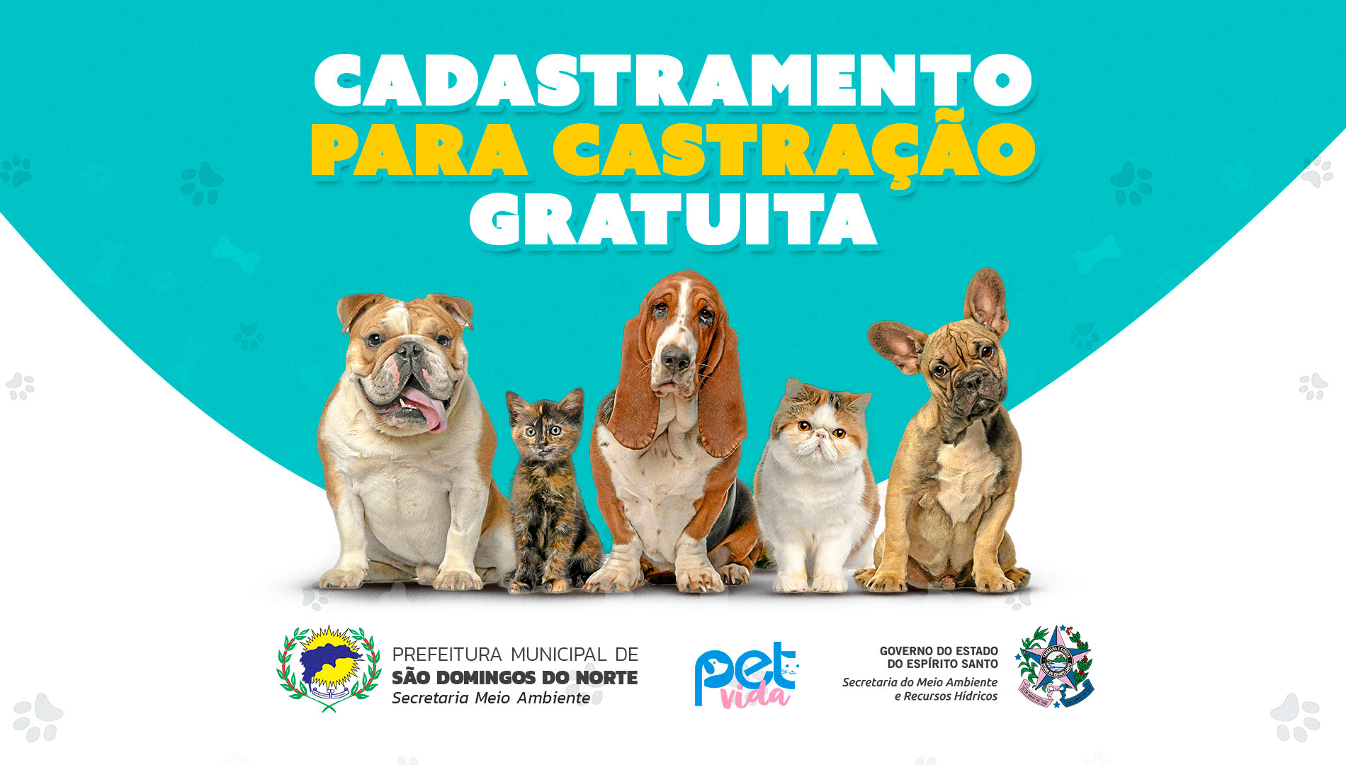 Programa Pet Vida chega a São Domingos do Norte com cadastramento para castração gratuita